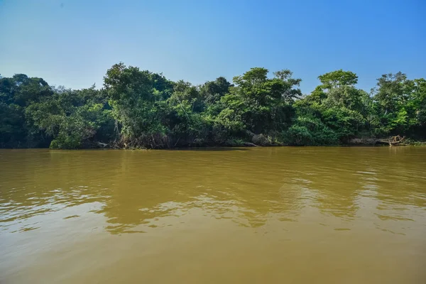 Pantanal Bosecosystemen Mato Grosso Brazil — Stockfoto