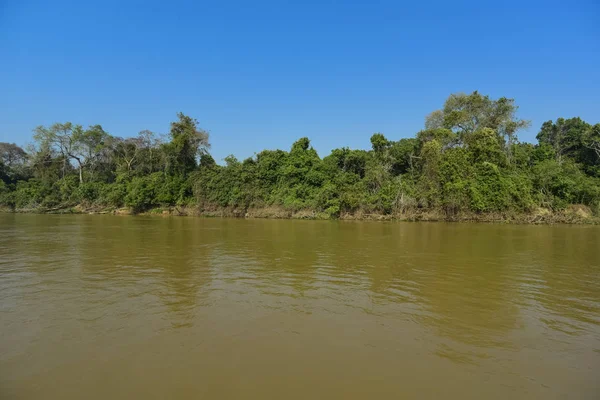 Pantanal forest ecosystem, Mato Grosso, Brazil