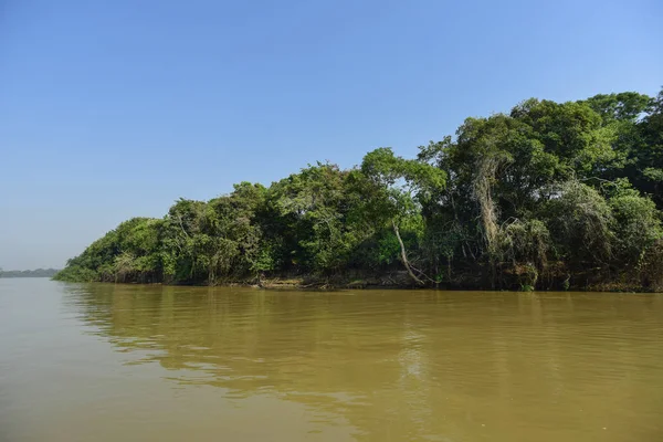 Pantanal Ecosysteem Mato Grosso Brazilië — Stockfoto
