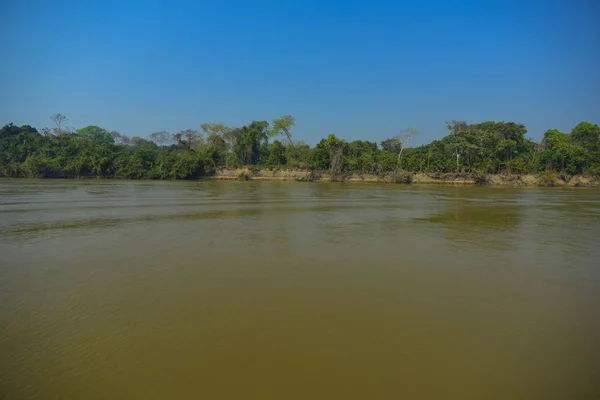 Écosystème Pantanal Mato Grosso Brésil — Photo