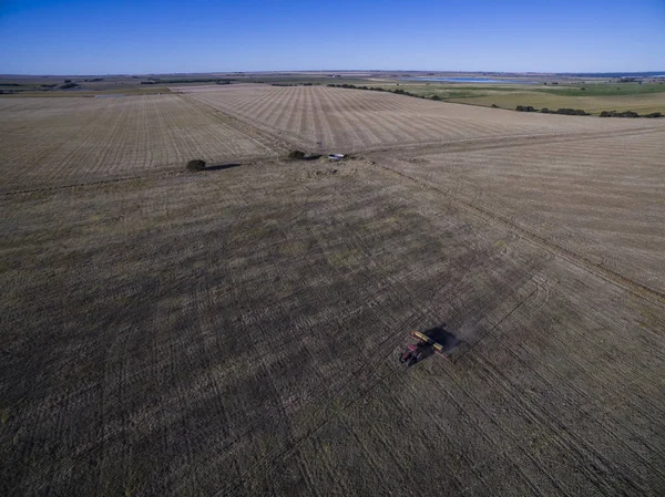 Semina Diretta Macchine Agricole Pampa Patagonia — Foto Stock