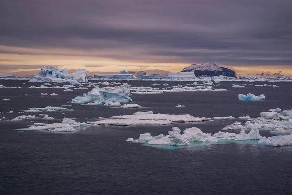 Vue Panoramique Paysage Gelé Sauvage Antarctique — Photo