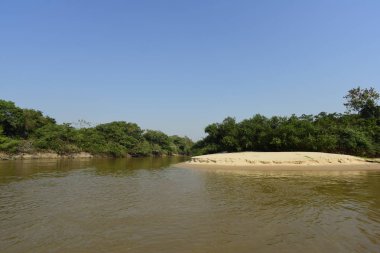 Pantanal orman ekosistemi, Mato Grosso, Brezilya