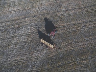Traktör ve mibzer, pampa, Argentina Ekim doğrudan
