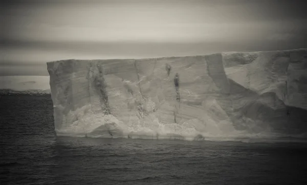 Vue Panoramique Paysage Gelé Sauvage Antarctique — Photo