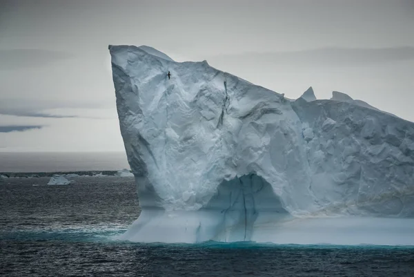 Zimní Krajina Antarktického Sektoru Poblíž Ostrova Paulet — Stock fotografie