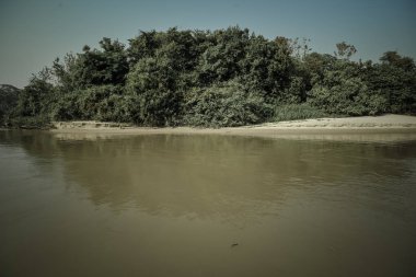 Pantanal orman ekosistemi, Mato Grosso, Brezilya