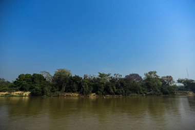 Nehir manzarası ve orman, Pantanal, Brezilya