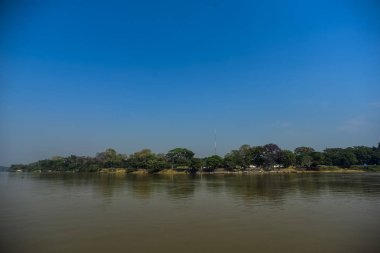 Nehir manzarası ve orman, Pantanal, Brezilya