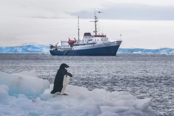 Експедиція Корабля Круїз Антарктичному Ландшафті — стокове фото