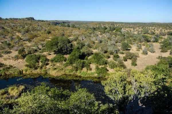 Paisagem Savana Africana Parque Nacional Kruger — Fotografia de Stock