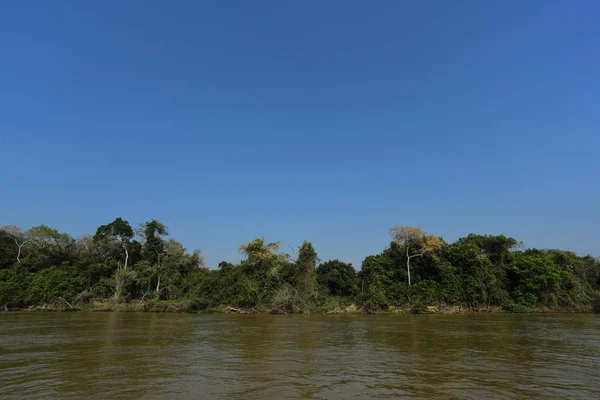 Ποτάμι Τοπίο Και Ζούγκλα Pantanal Βραζιλία — Φωτογραφία Αρχείου