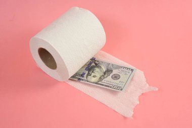 Amerikan Doları bill ve tuvalet kağıdı, kavram kaydetme