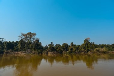 Nehir manzarası ve orman, Pantanal, Brezilya