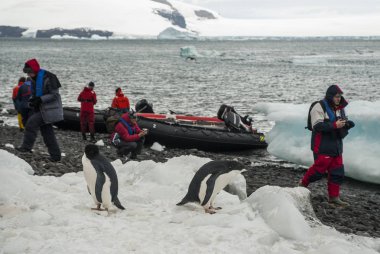 Antarktika'da sefer gezisi 