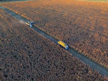 La Pampa sorgum hasadı, Arjantin