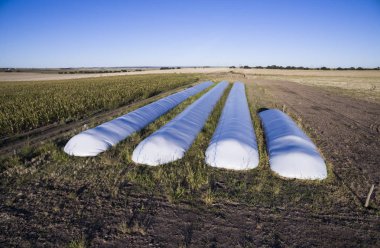 La Pampa, Arjantin'deki Tahıl depolamasının havadan görünümü
