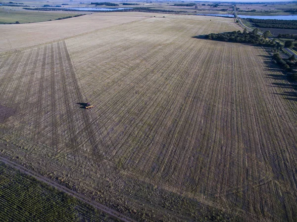 Aerial view of tractor and seeder, direct sowing in pampa region, Argentina