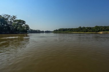 Nehir manzarası ve orman, Pantanal, Brezilya