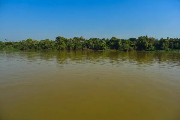 Paisaje Fluvial Selva Pantanal Brasil —  Fotos de Stock