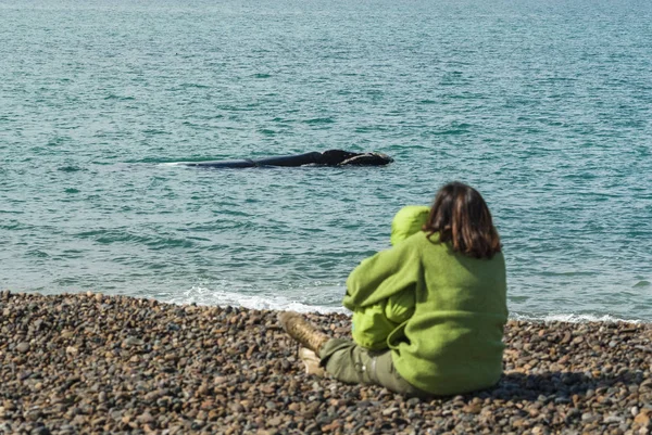 Touristes Observant Les Baleines Observation Depuis Côte — Photo