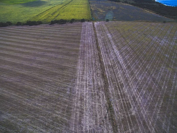 直接播種方法で植えられた田園地帯の航空写真 — ストック写真