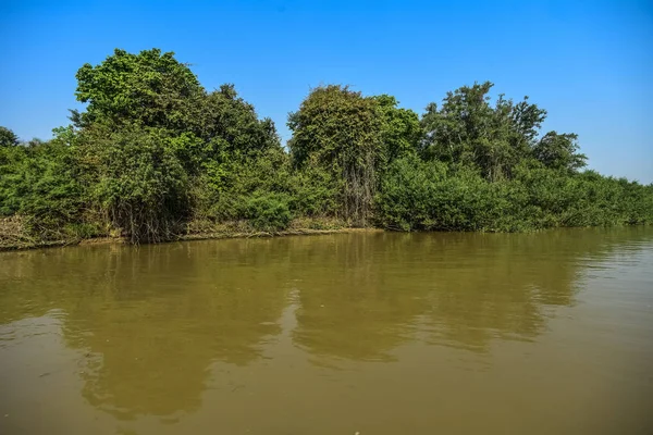 Nehir Manzarası Orman Pantanal Brezilya — Stok fotoğraf