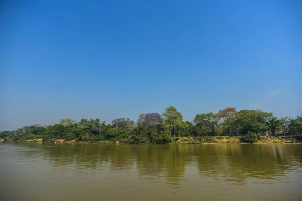 Říční Krajina Džungle Pantanal Brazílie — Stock fotografie