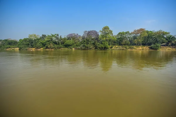 River Landscape Jungle Pantanal Brazilië — Stockfoto