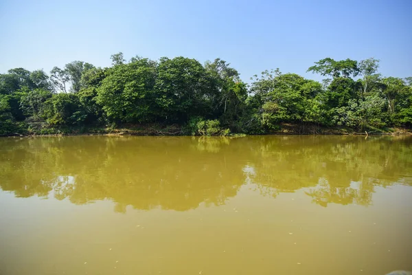 Pantanal forest ecosystem, Mato Grosso, Brazil