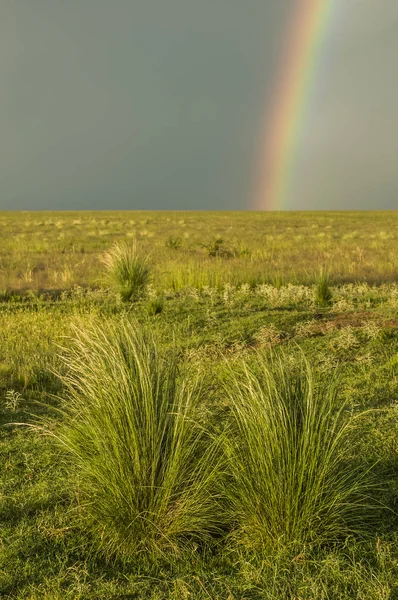 Wiejski Krajobraz Rainbow Prowincja Buenos Aires Argentyna — Zdjęcie stockowe