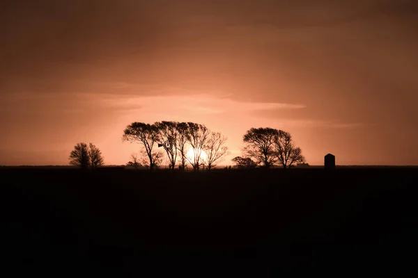 Paysage Rural Coucher Soleil Buenos Aires Province Argentine — Photo