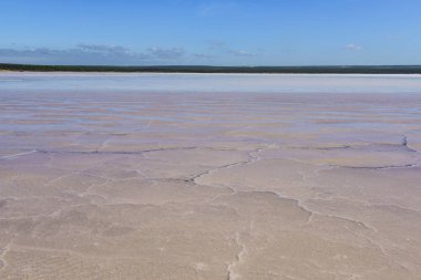 Tuz lagünü, Dunaliella salina coloration, La Pampa, Arjantin