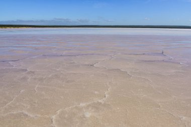 Tuz lagünü, Dunaliella salina coloration, La Pampa, Arjantin