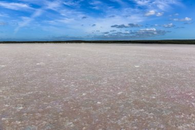 Tuz lagünü, Dunaliella salina coloration, La Pampa, Arjantin