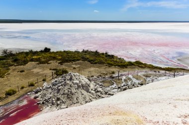 Tuz lagünü, Dunaliella salina coloration, La Pampa, Arjantin