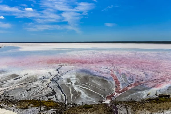 Laguna Sal Coloración Dunaliella Salina Pampa Argentina — Foto de Stock