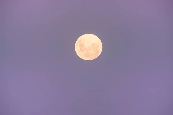 血の月 日食から見た日食 パンパ 2019年1月21日 — ストック写真