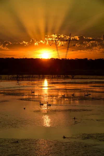 Sunbeams Sunset Pampas Argentina — Stock Photo, Image