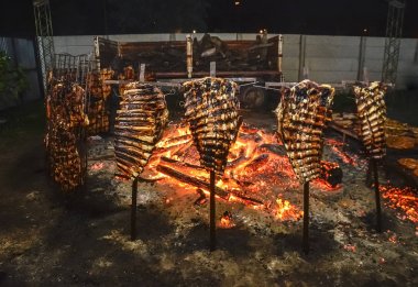 Tükürüklerde kaburgaları, Patagonya, Arjantin