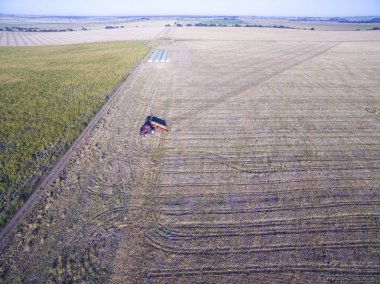 Traktör ve seeder, doğrudan pampa ekim, Arjantin