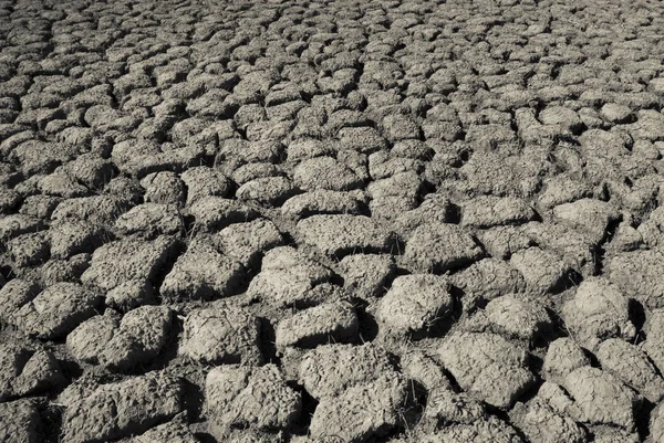 Rissige Erde Wüstenbildung Abstrakter Hintergrund — Stockfoto