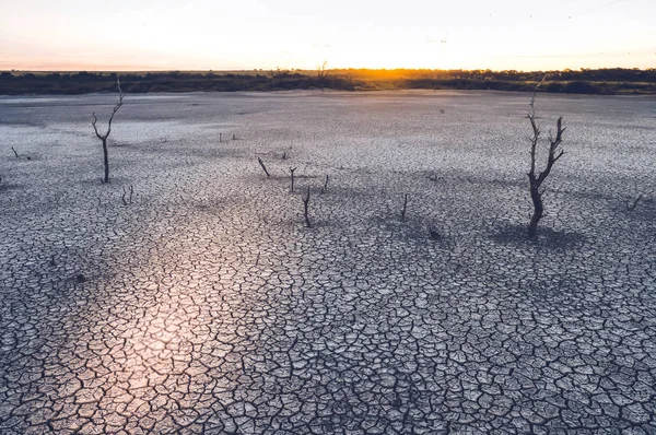 Tierra Agrietada Proceso Desertificación Fondo Abstracto — Foto de Stock