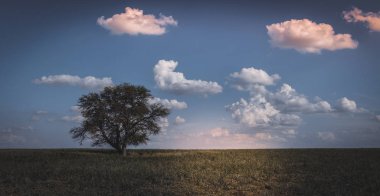 Pampas manzara, Patagonya , Arjantin