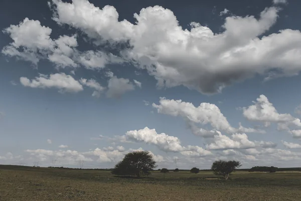 曇り空のアルゼンチンパンパス風景 — ストック写真