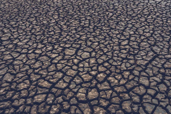 Tierra Agrietada Proceso Desertificación Fondo Abstracto — Foto de Stock