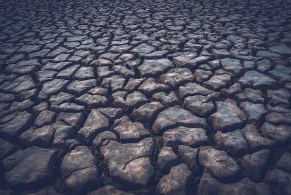 Tierra Agrietada Proceso Desertificación Fondo Abstracto — Foto de Stock