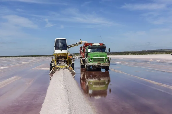 Industria Salina Extracción Mineral Laguna Salina Pampa Patagonia Argentina — Foto de Stock