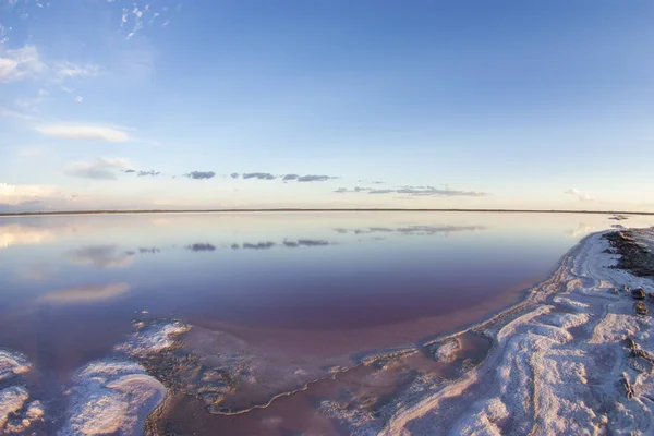 Laguna Sal Coloración Dunaliella Salina Pampa Argentina — Foto de Stock