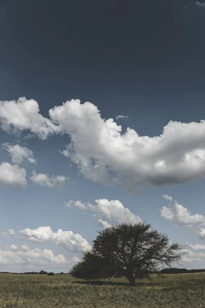 Argentijnse Pampas Landschap Met Bewolkte Hemel — Stockfoto